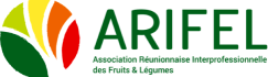 logo arifel